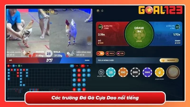 Khu vực trường đấu tập trung đông người theo dõi
