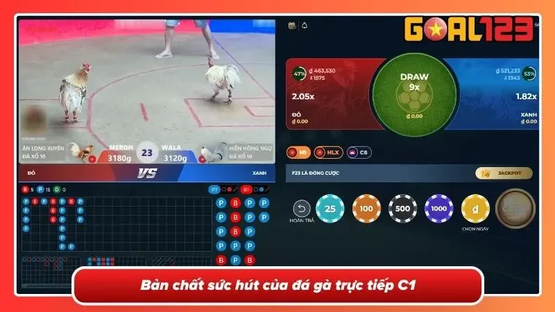 Đá Gà Trực Tiếp C1- Theo Dõi Những Trận Đấu Đỉnh Cao 1 Tổng quan về trò chơi đá gà trực tiếp C1