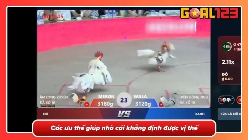 Đá Gà Trực Tiếp C1- Theo Dõi Những Trận Đấu Đỉnh Cao 2 Lý do nhà cái được nhiều người chơi tin chọn