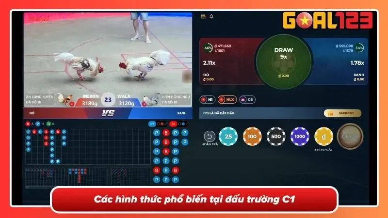 Đá Gà Trực Tiếp C1- Theo Dõi Những Trận Đấu Đỉnh Cao 3 Đa dạng thể thức thi đấu